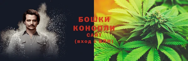 стаф Дмитровск