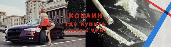стаф Дмитровск