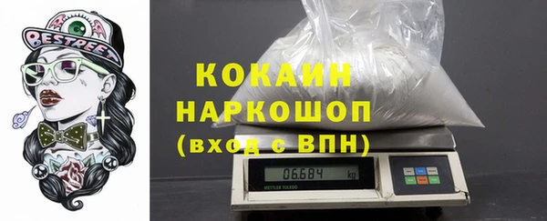 spice Дмитриев