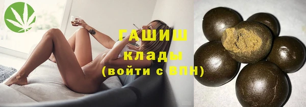 стаф Дмитровск