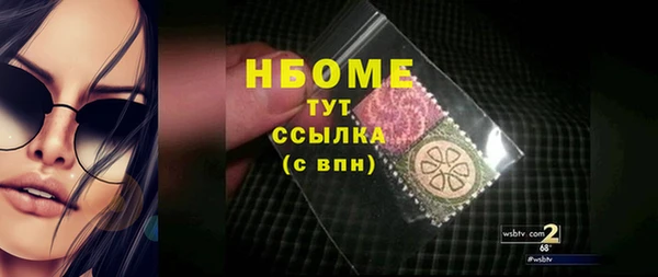 стаф Дмитровск