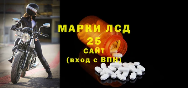 хмурый Дмитров