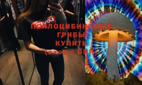 spice Дмитриев