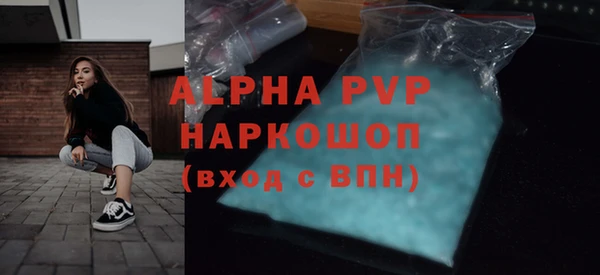 spice Дмитриев