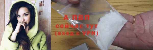 хмурый Дмитров