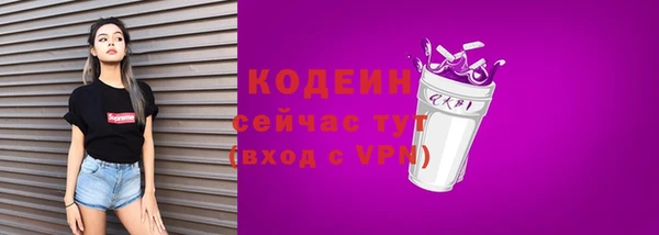 spice Дмитриев