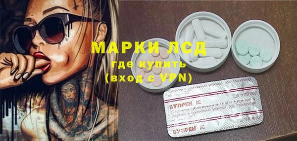 хмурый Дмитров