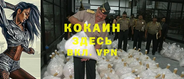 хмурый Дмитров