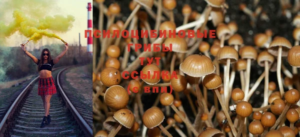 хмурый Дмитров