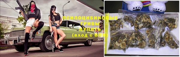 хмурый Дмитров