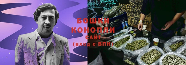 стаф Дмитровск