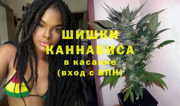 spice Дмитриев