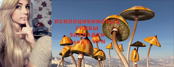 стаф Дмитровск