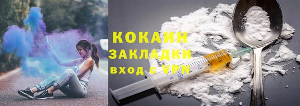 стаф Дмитровск