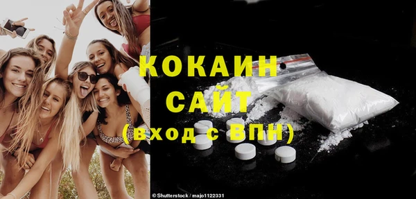 хмурый Дмитров