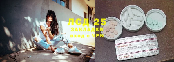 хмурый Дмитров