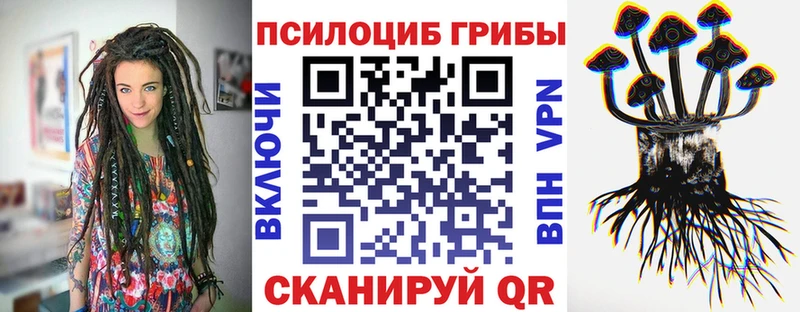 Купить закладки  Новый Оскол  Псилоцибиновые грибы GOLDEN TEACHER 